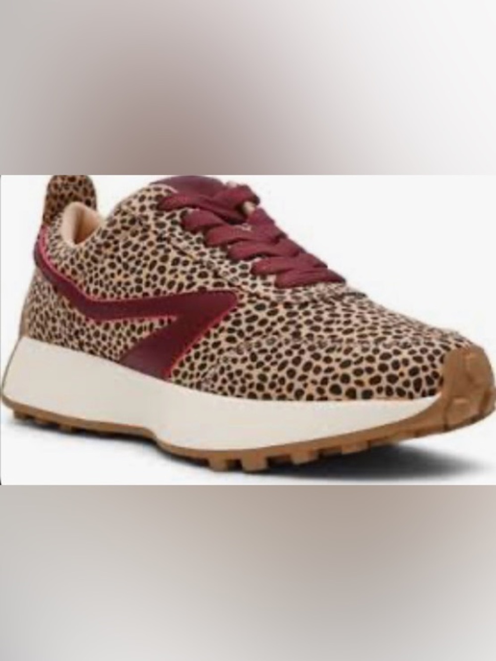 DV Dolce Vita Leopard Print Sneaker with Burgundy Accents